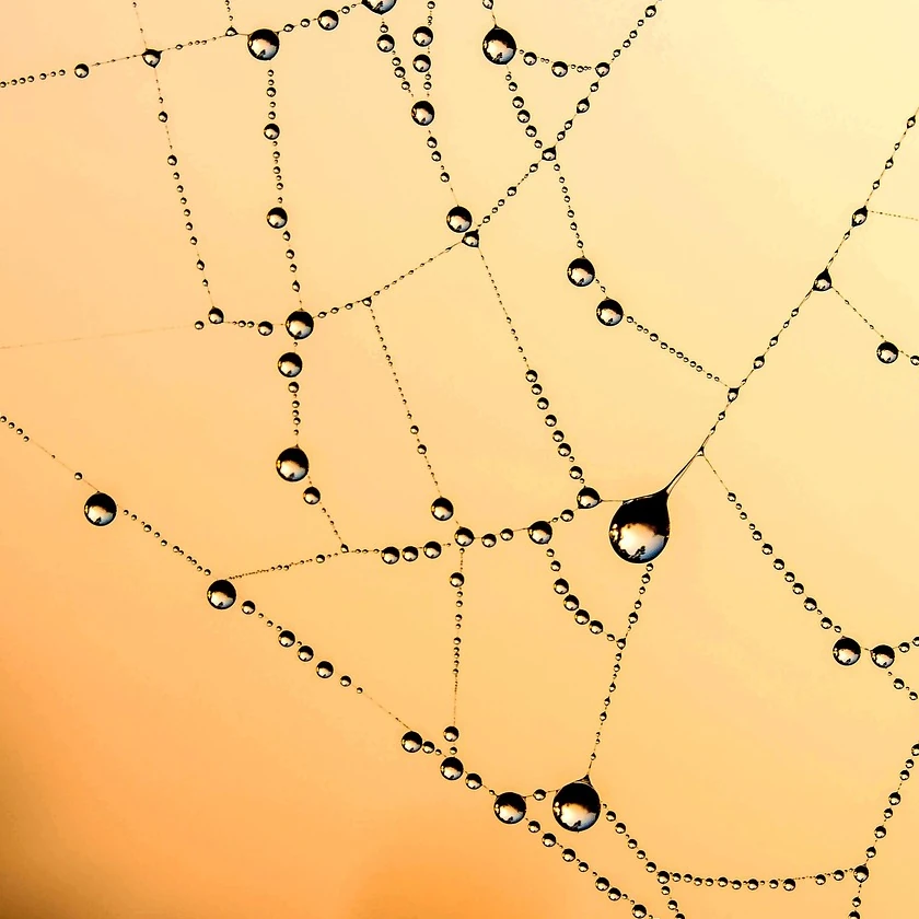Concentrated market analysis and deep data focus